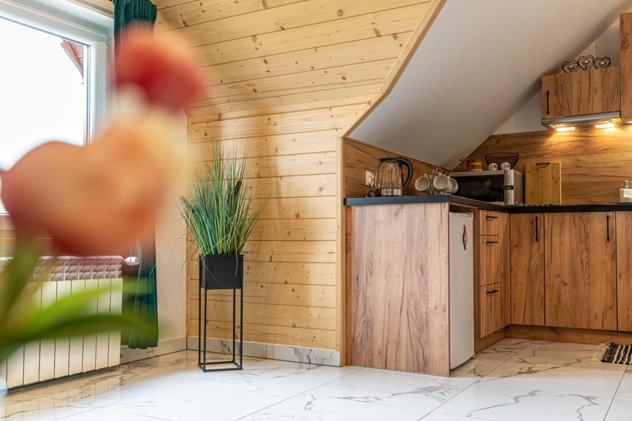 Widokowy Apartament - Pokoje Goscinne Banska Wyzna Extérieur photo